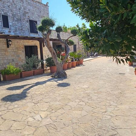 Casa Dario Daire Locorotondo Dış mekan fotoğraf