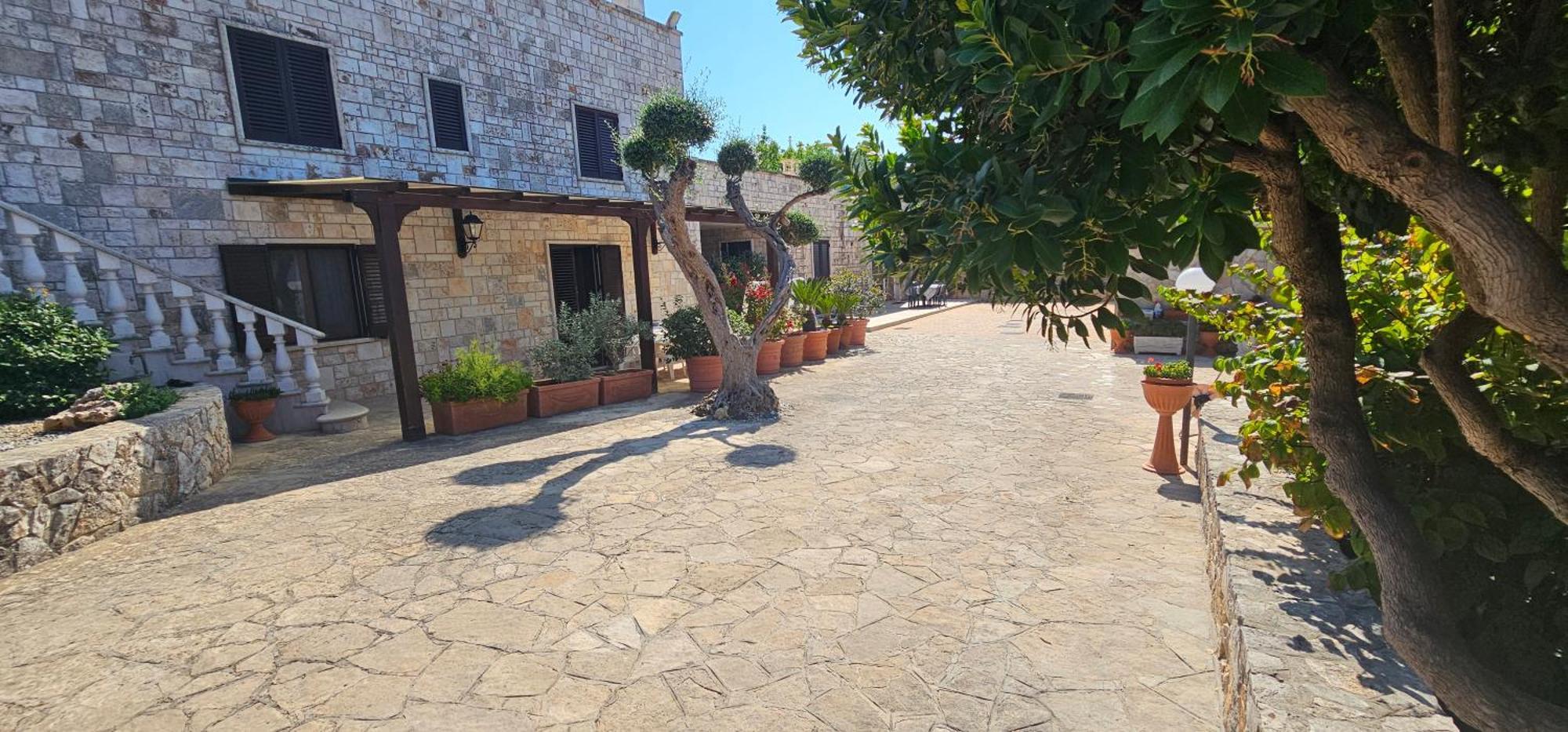 Casa Dario Daire Locorotondo Dış mekan fotoğraf