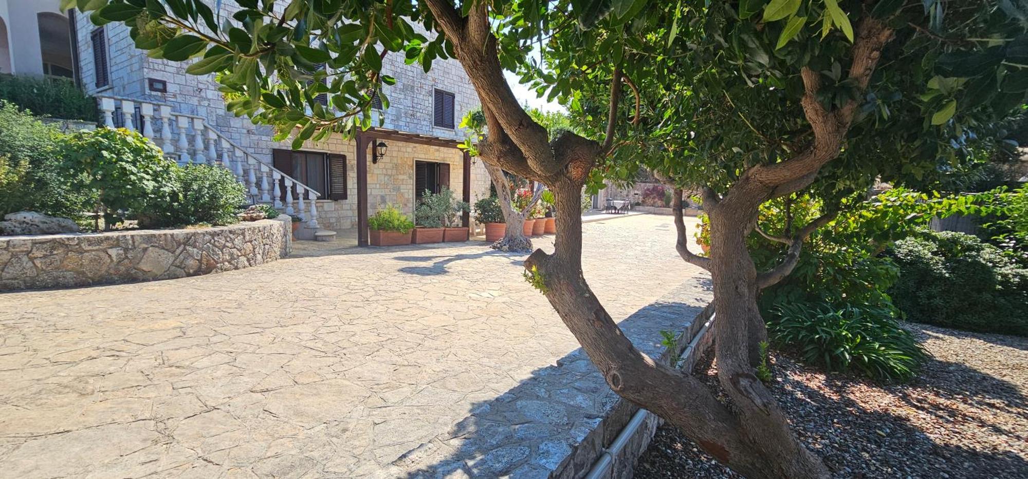Casa Dario Daire Locorotondo Dış mekan fotoğraf