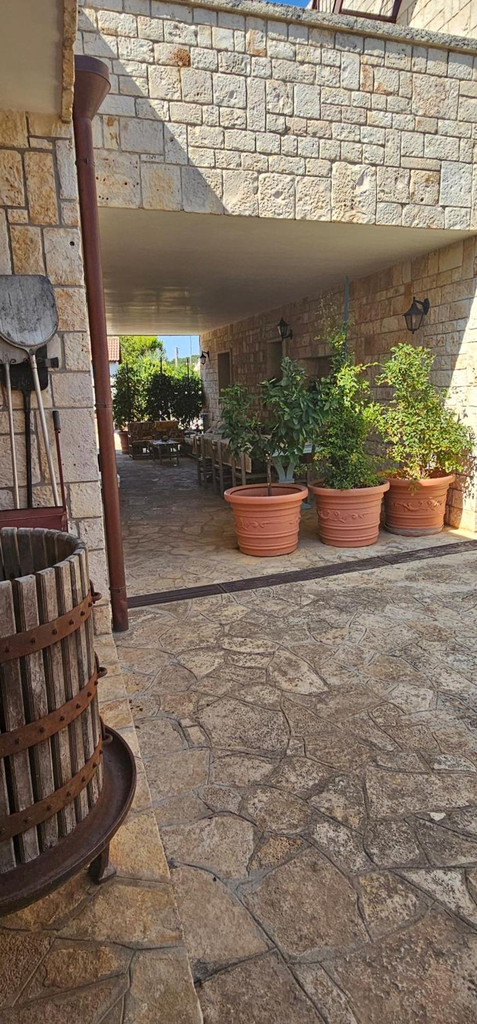 Casa Dario Daire Locorotondo Dış mekan fotoğraf
